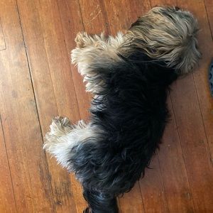 Meet your Posher, Ruth